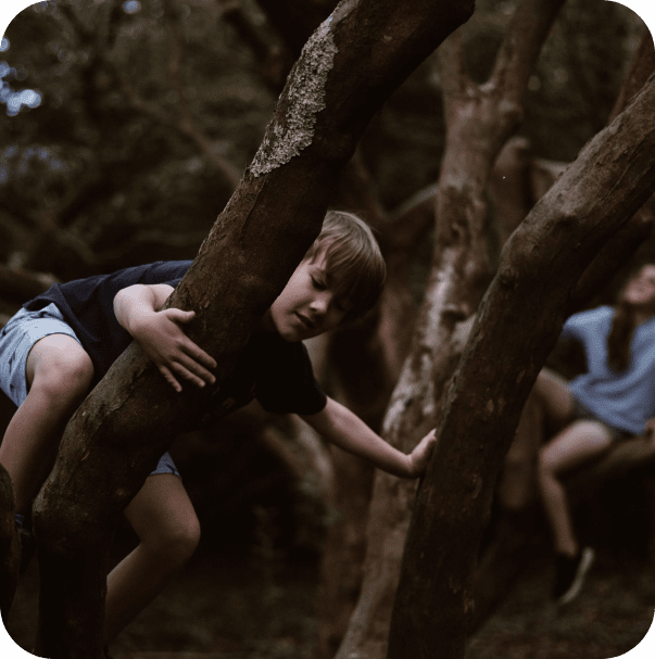 Junge klettert auf einen Baum